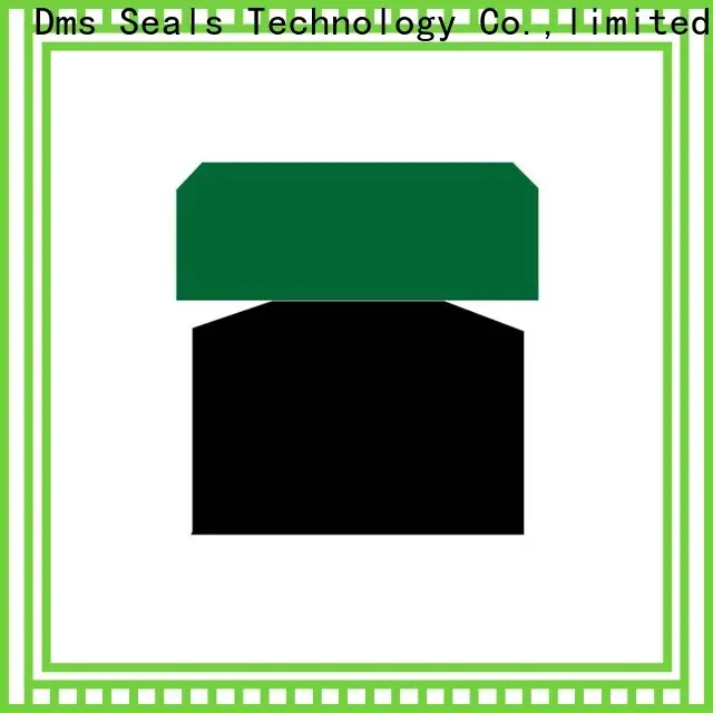DMS Seal Manufacturer Wholesale hydraulic cylinder gaskets company for pneumatic equipment 1