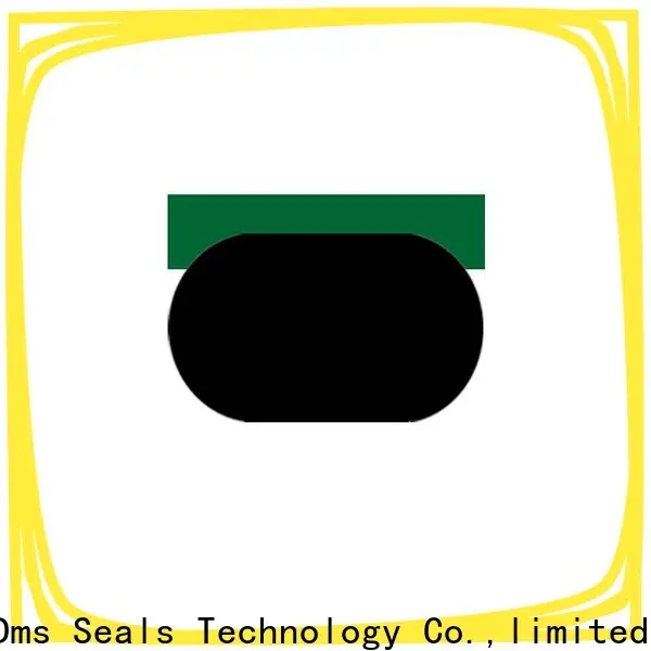 DMS Seal Manufacturer cylinder packing kits manufacturers for light and medium hydraulic systems 1