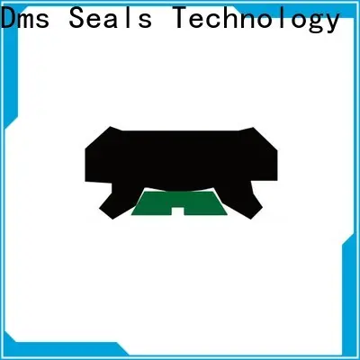 DMS Seal Manufacturer custom oil seals for pressure work and sliding high speed occasions 1