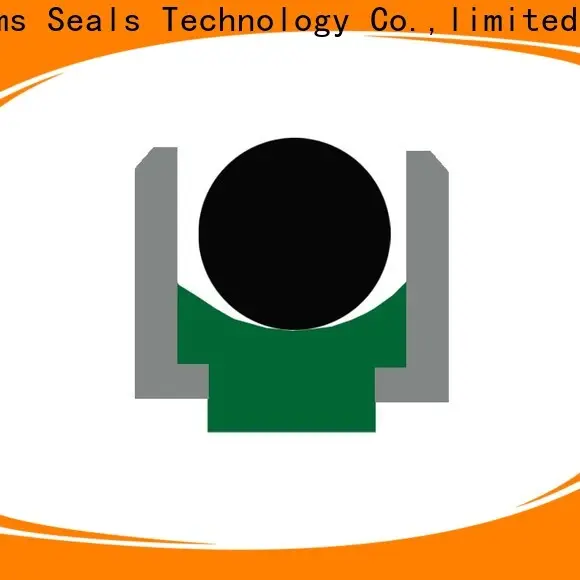 Latest packing rod seals factory for sale 1
