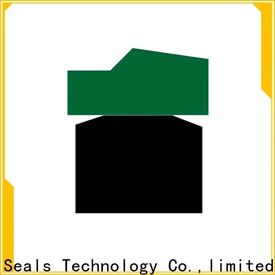 DMS Seal Manufacturer hydraulic cylinder seal design manufacturers for light and medium hydraulic systems 1