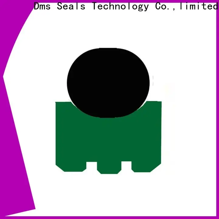 DMS Seal Manufacturer how to seal a rotating shaft factory for construction machinery 1