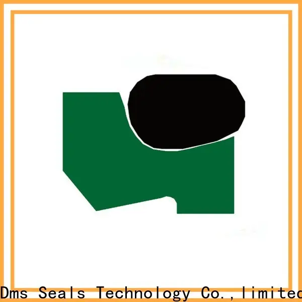 DMS Seal Manufacturer high efficiency wiper ring seal with nbr or fkm o ring for agricultural machinery 1