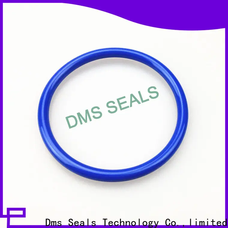 DMS Seal Manufacturer Best extra large o rings manufacturers for static sealing 1