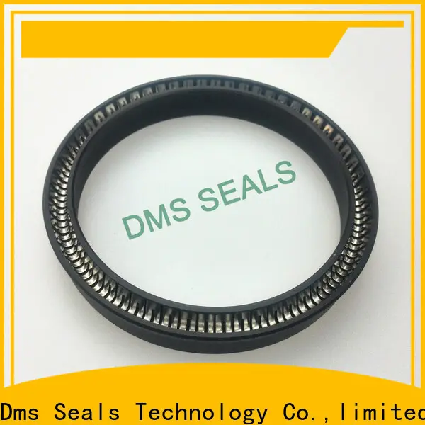 DMS Seal Manufacturer rotary lip seal application factory for aviation 1