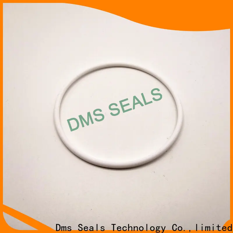DMS Seal Manufacturer large o ring set factory in highly aggressive chemical processing 1