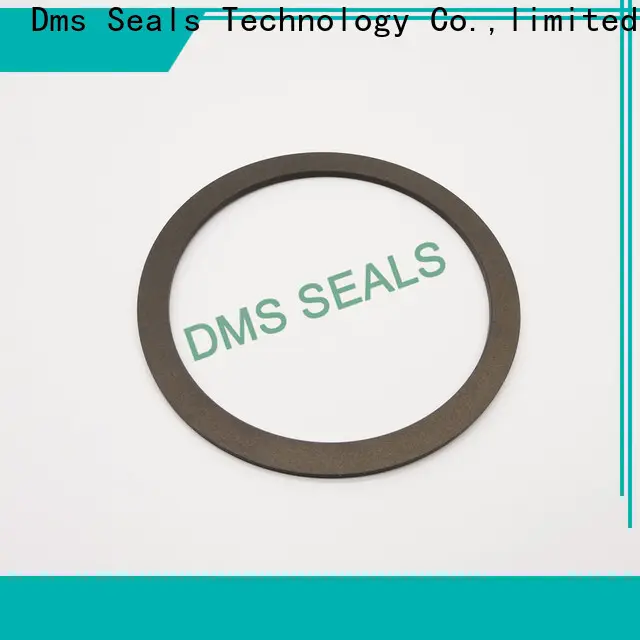 DMS Seal Manufacturer rubber gasket for sheet metal material for liquefied gas 1