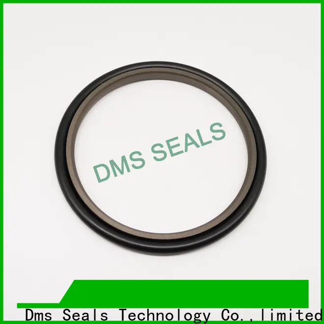 DMS Seal Manufacturer hydraulic seals catalogue supplier for piston and hydraulic cylinder 1