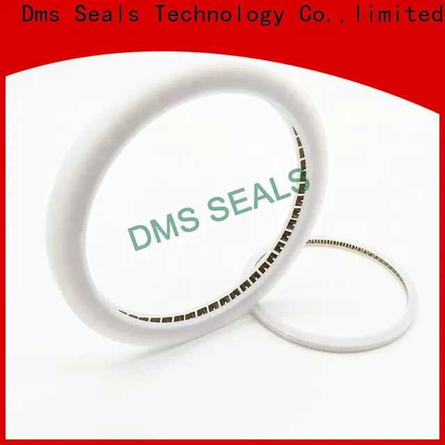 DMS Seal Manufacturer Custom spiral spring gasket Supply for reciprocating piston rod or piston single acting seal 1