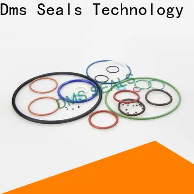 DMS Seal Manufacturer polyurethane 6 inch diameter o ring for business in highly aggressive chemical processing 1