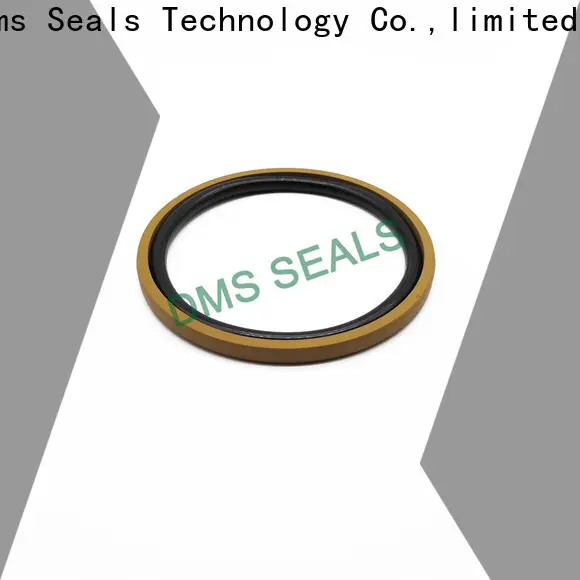 DMS Seal Manufacturer hydraulic seal kit manufacturers Supply for sale 1