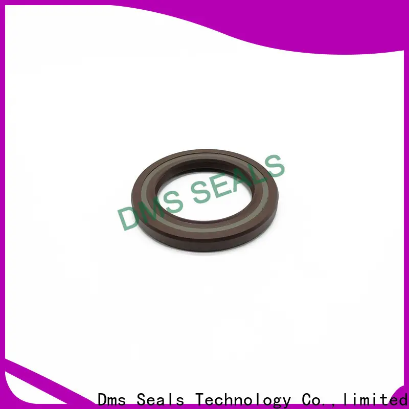 double lip oil seal plug with integrated spring for housing 1