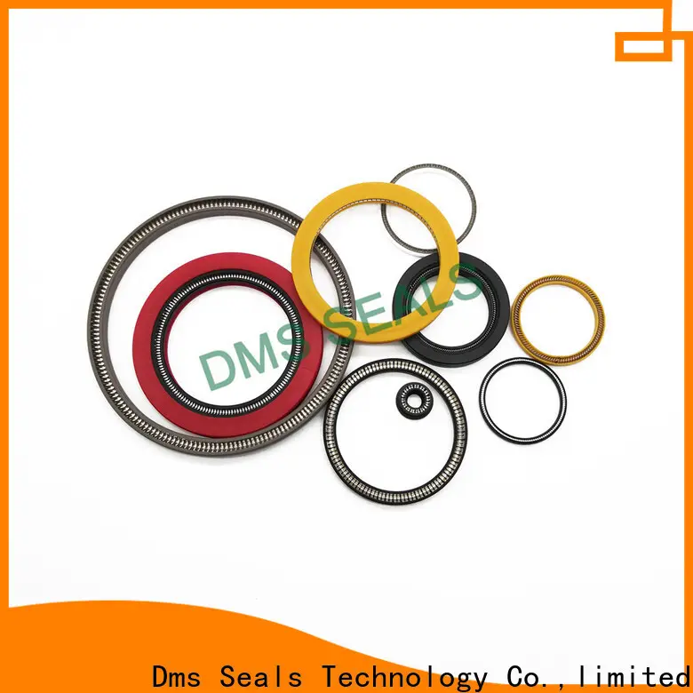 DMS Seal Manufacturer glrd mechanical seal factory for reciprocating piston rod or piston single acting seal 1
