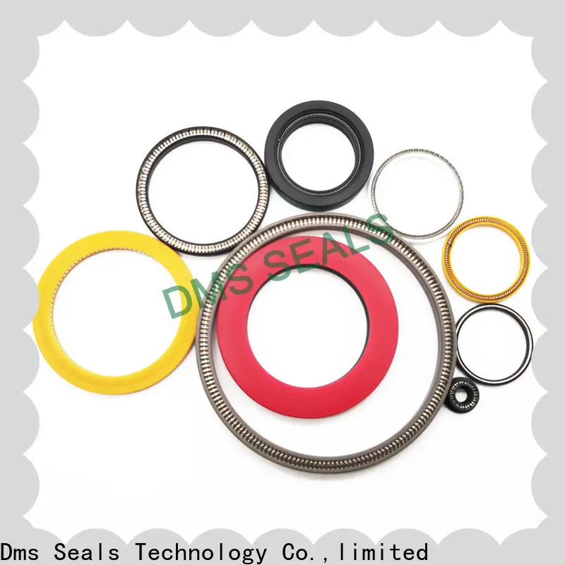 DMS Seal Manufacturer New spring energized seals manufacturers for aviation 1