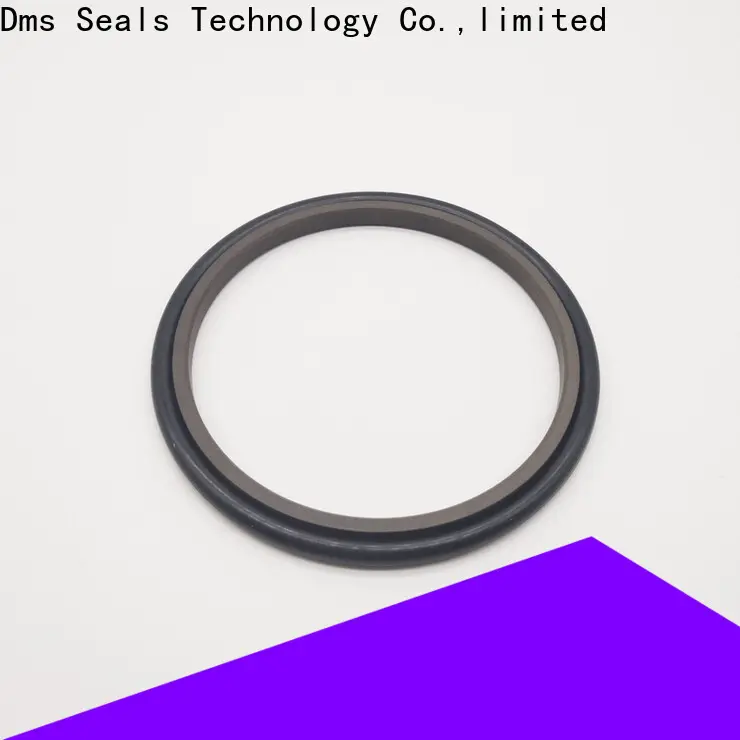 DMS Seal Manufacturer custom mechanical engineering seal glyd ring for piston and hydraulic cylinder 1