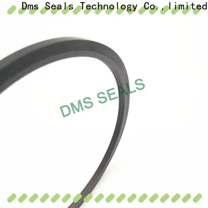 bronze filled lip seal vs mechanical seal o ring for larger piston clearance 1