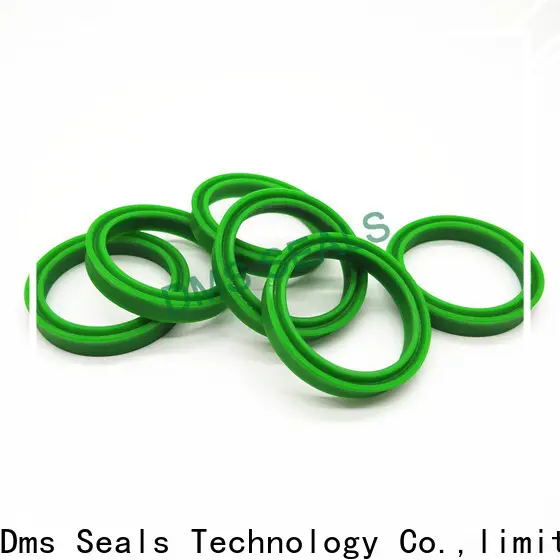 DMS Seal Manufacturer oil seal manufacturers wholesale 1