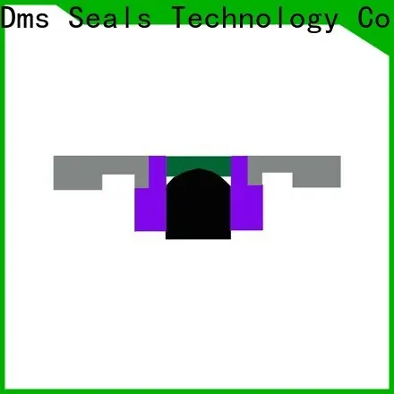 DMS Seal Manufacturer hydraulic cylinder seal design with ptfe nbr and pom for sale 1