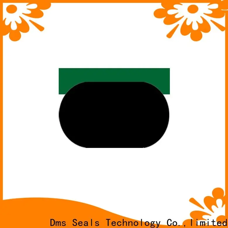 DMS Seal Manufacturer hyd cylinder seal kit glyd ring for light and medium hydraulic systems 1