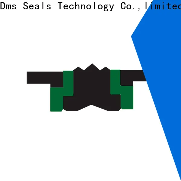 DMS Seal Manufacturer hydraulic piston seals suppliers Suppliers for pneumatic equipment1 1