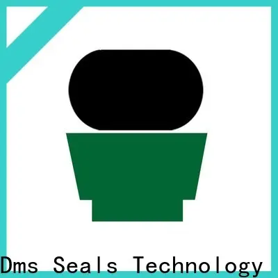 DMS Seal Manufacturer pneumatic rod seals Suppliers for sale 1