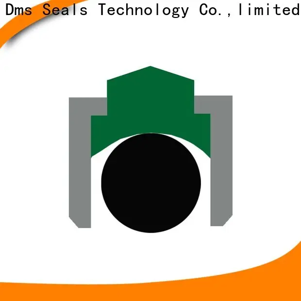 High-quality what is a rotary lip seal Supply for construction machinery 1