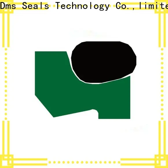 DMS Seal Manufacturer hydraulic cylinder seal compression tool factory for cranes 1