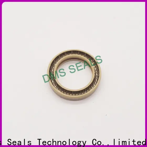 DMS Seal Manufacturer spring loaded double lip seal factory for aviation 1