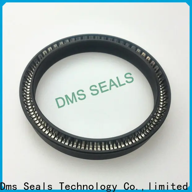 DMS Seal Manufacturer Latest glrd mechanical seal for business for reciprocating piston rod or piston single acting seal 1