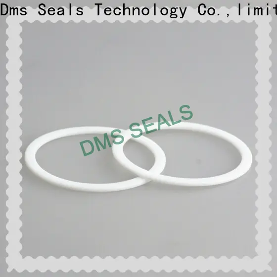 DMS Seal Manufacturer plastic gasket seals for preventing the seal from being squeezed 1