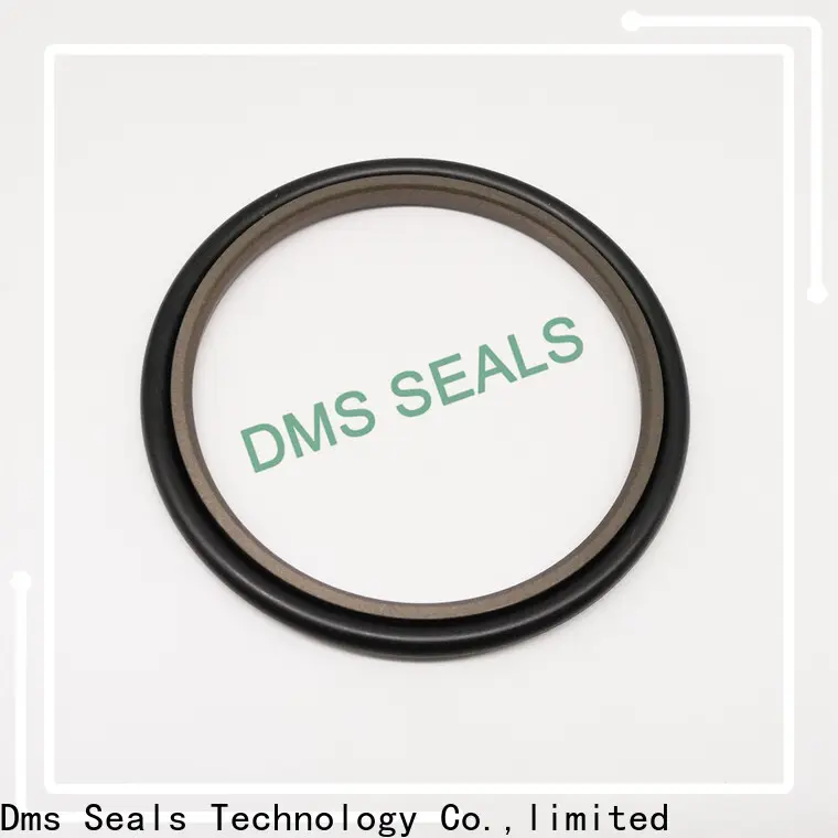 DMS Seal Manufacturer best epdm seals suppliers o ring 1