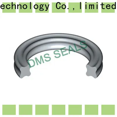 DMS Seal Manufacturer buy viton o rings company in highly aggressive chemical processing 1