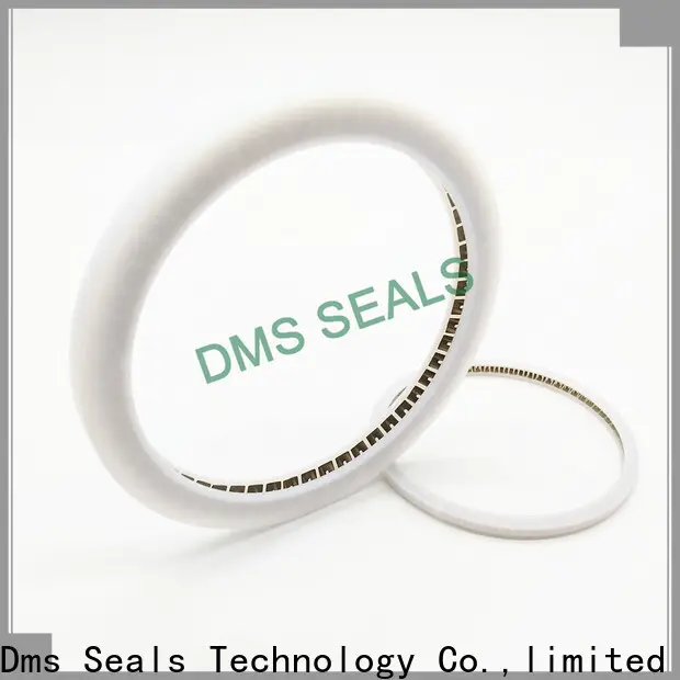 DMS Seal Manufacturer Best rotary seal design company for aviation 1