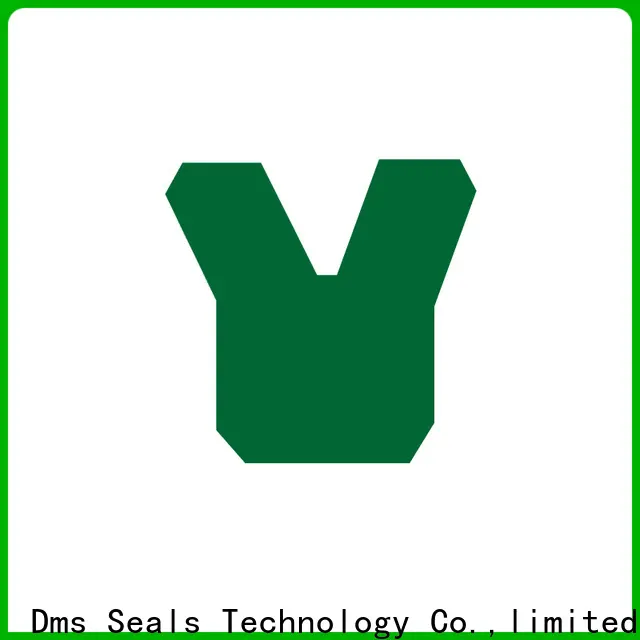 DMS Seal Manufacturer hydraulic seal design company to high and low speed 1