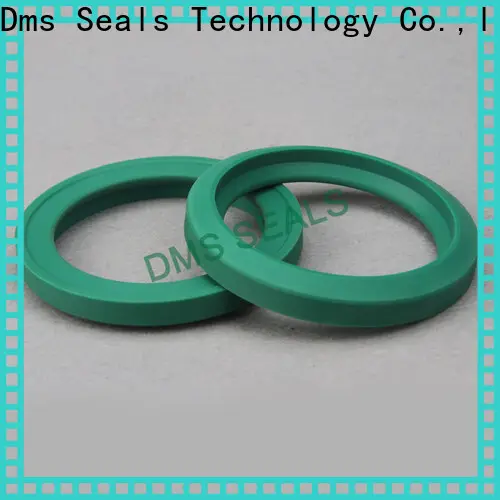 DMS Seal Manufacturer ptfe double acting mechanical seal glyd ring 1