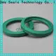 DMS Seal Manufacturer ptfe double acting mechanical seal glyd ring 1