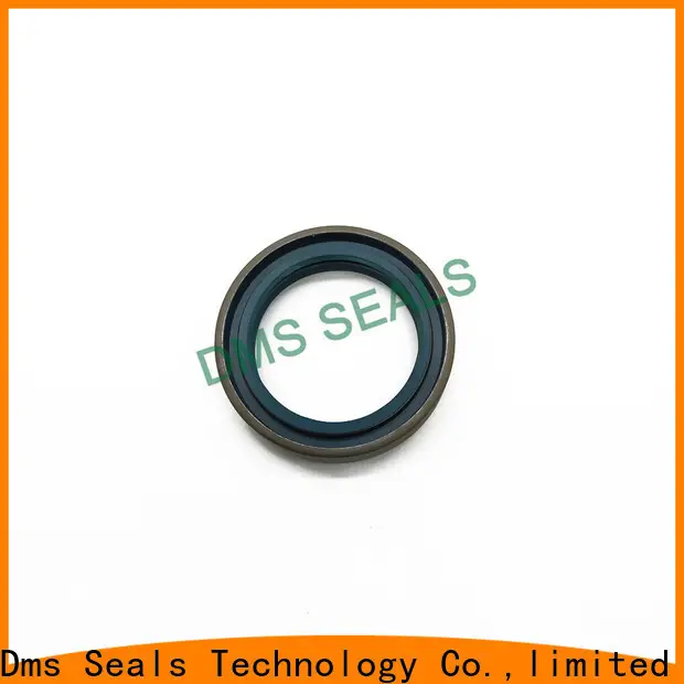 DMS Seal Manufacturer primary v type oil seal with integrated spring for low and high viscosity fluids sealing 1