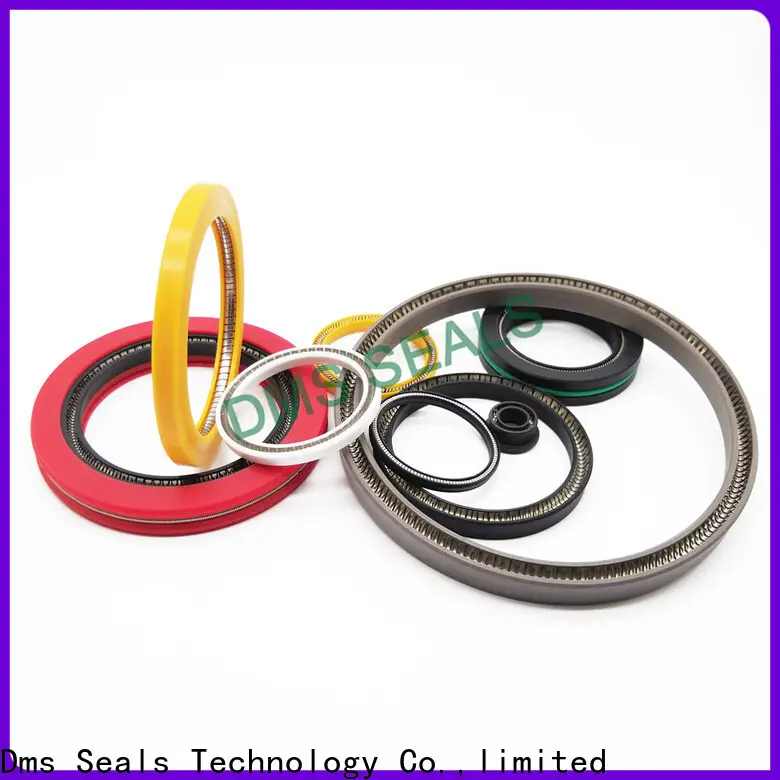 DMS Seal Manufacturer spring loaded seal Suppliers for reciprocating piston rod or piston single acting seal 1