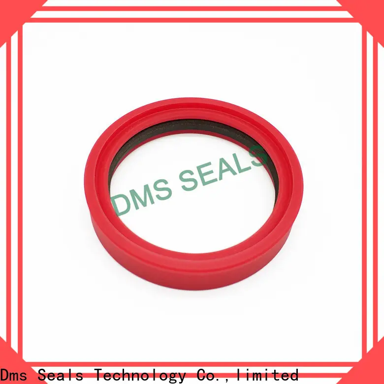 DMS Seal Manufacturer mechanical seal buyer o ring for larger piston clearance 1