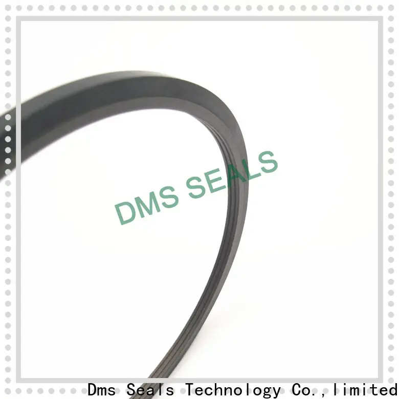 DMS Seal Manufacturer bronze filled sunny oil seal manufacturer supplier for larger piston clearance 1