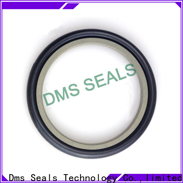 Bronze Filled Hydraulic Ram Seals O Ring for Larger Piston Clearance ...