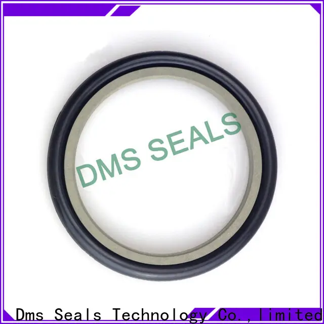 DMS Seal Manufacturer bronze filled hydraulic ram seals o ring for larger piston clearance 1