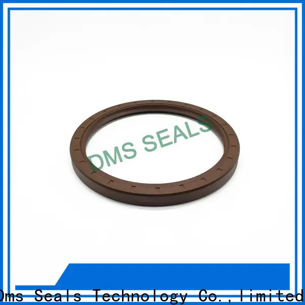 DMS Seal Manufacturer professional oil seal drawing with integrated spring for sale 1