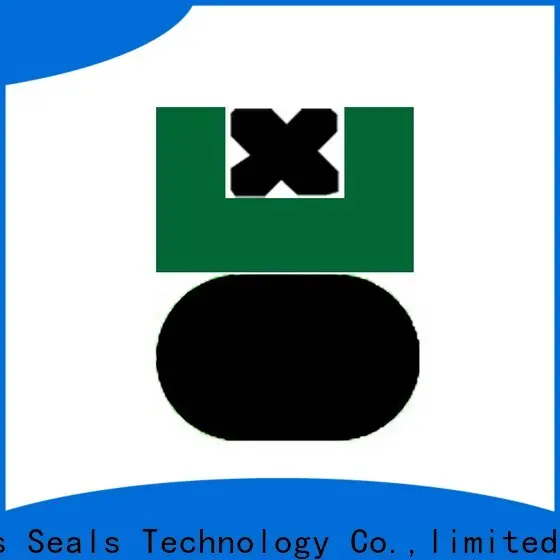 DMS Seal Manufacturer hallite hydraulic seals glyd ring for sale 1