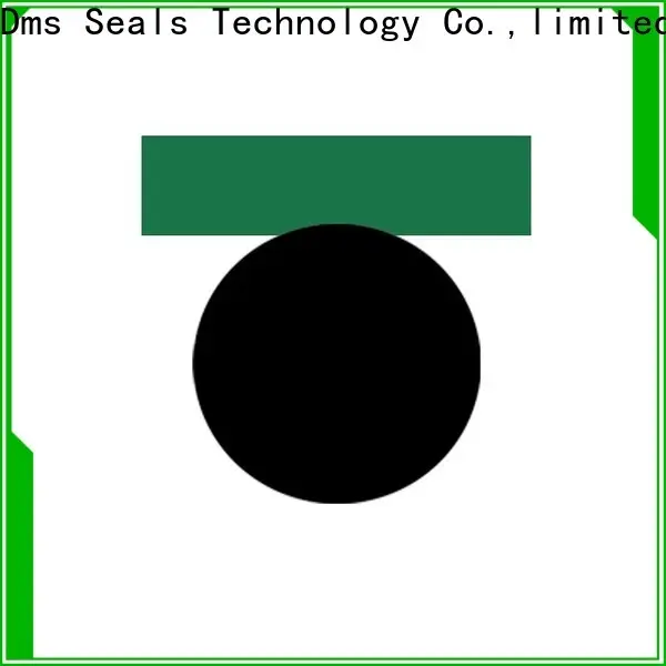 DMS Seal Manufacturer hydraulic seal design with ptfe nbr and pom for pneumatic equipment 1