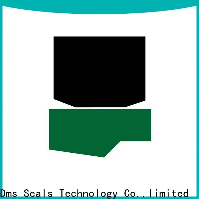 DMS Seal Manufacturer Wholesale hydraulic cylinder shaft seals manufacturers to high and low speed 1