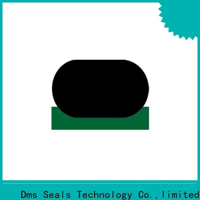 DMS Seal Manufacturer Best rubber piston seal manufacturers to high and low speed 1
