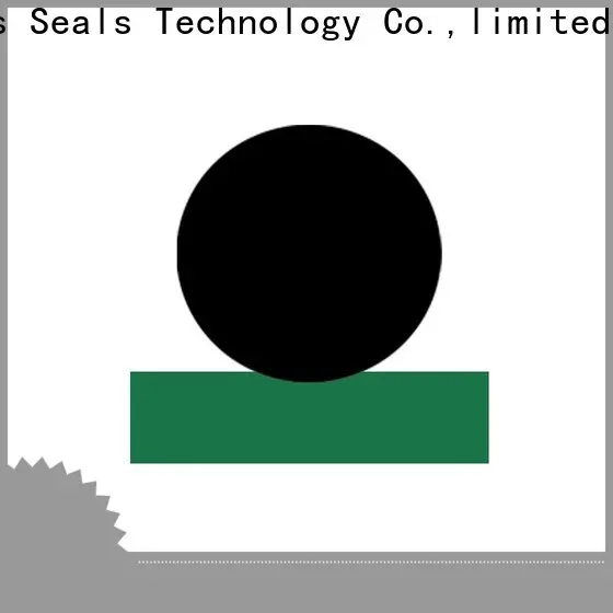 DMS Seal Manufacturer Best metric wiper seals Supply for pressure work and sliding high speed occasions 1