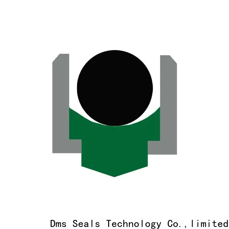 DMS Seal Manufacturer high speed seals Suppliers for construction machinery 1