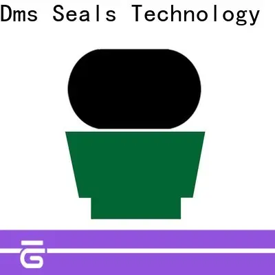 DMS Seal Manufacturer Wholesale rod seal installation Suppliers for sale 1